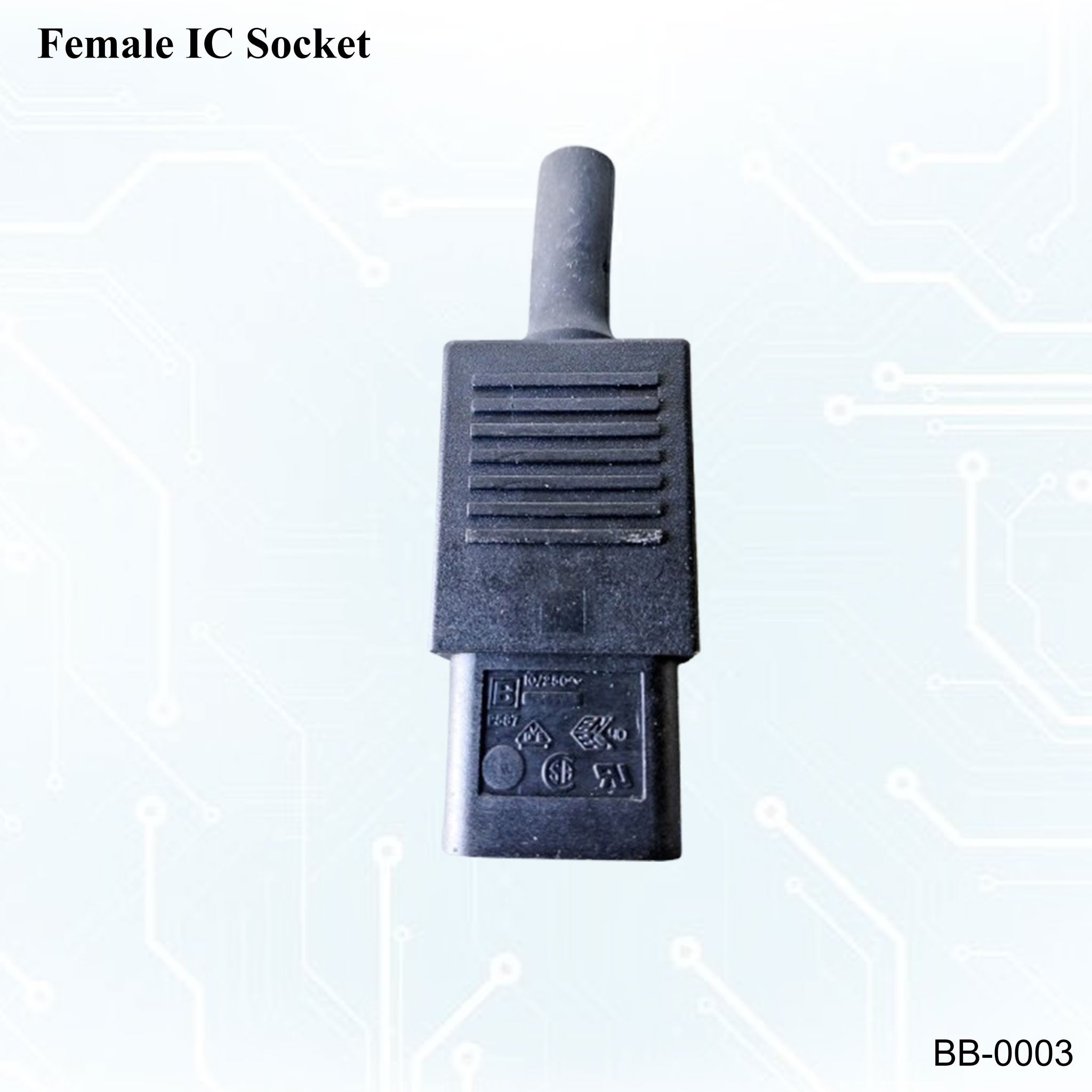 Female socket – bobo Computer